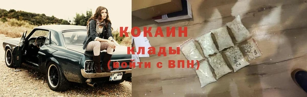 сатива Армянск