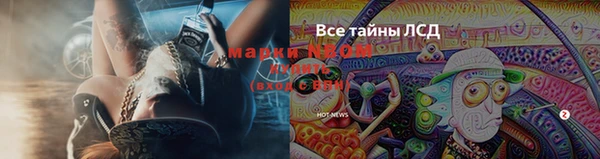 сатива Армянск