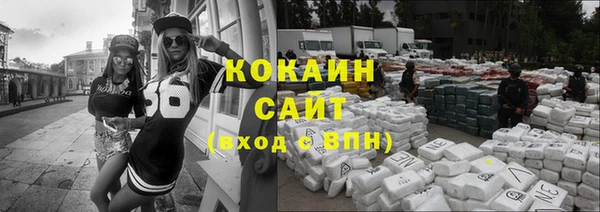 сатива Армянск