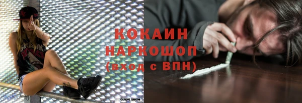 сатива Армянск