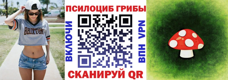 цена   кракен ONION  Галлюциногенные грибы Psilocybine cubensis  Певек 